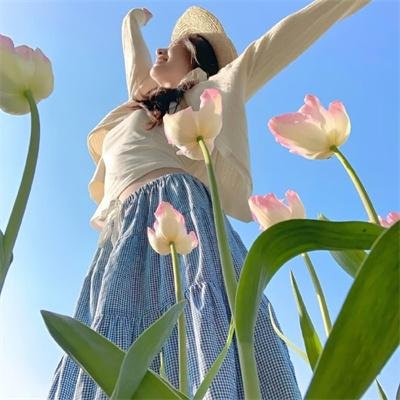 恶搞之家第十五季 高清封面